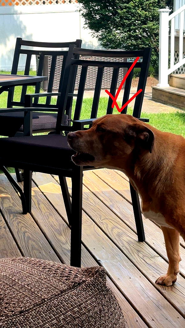 kylaayese image ~ Altpins