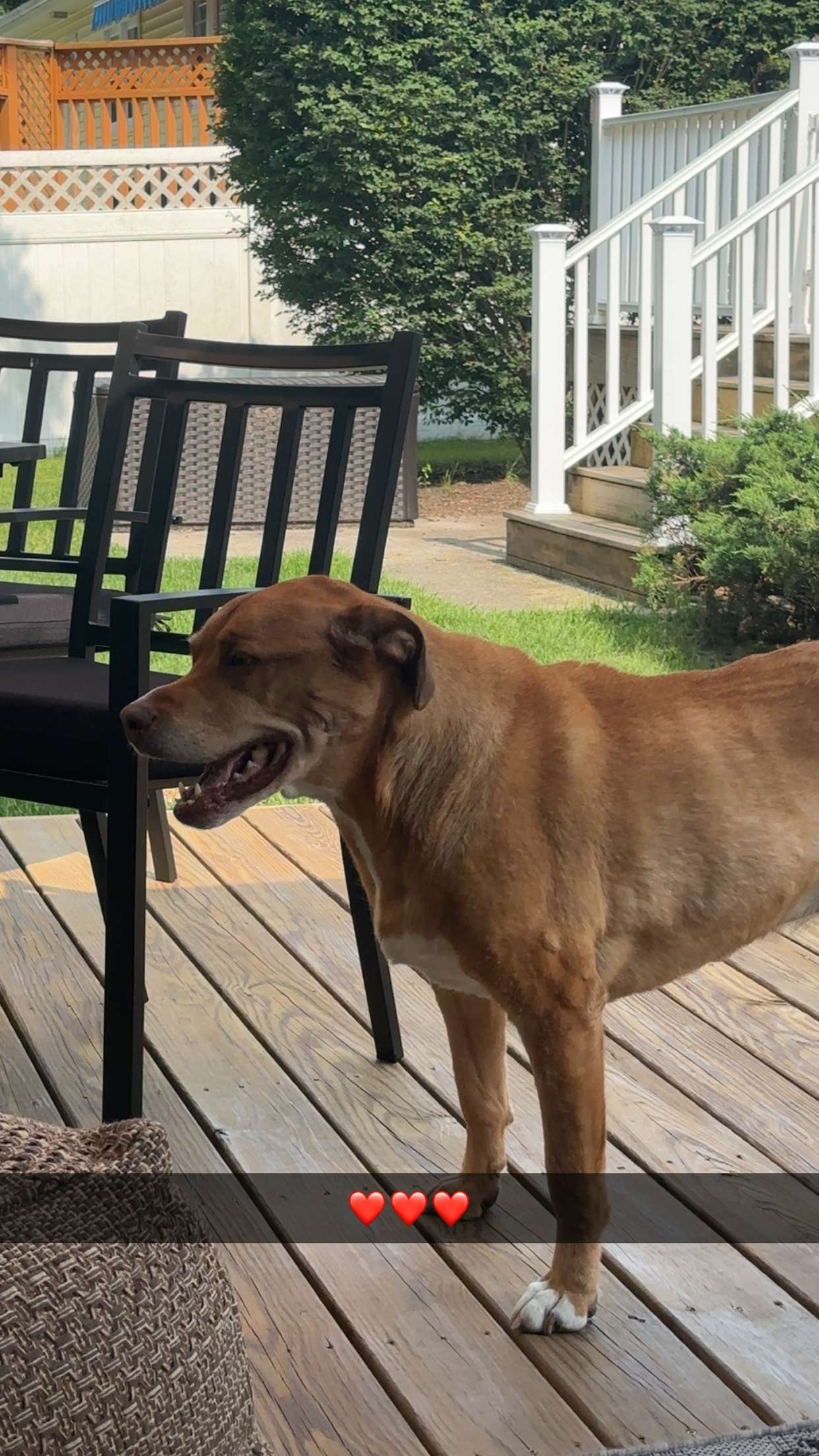 kylaayese snapchat image archive image