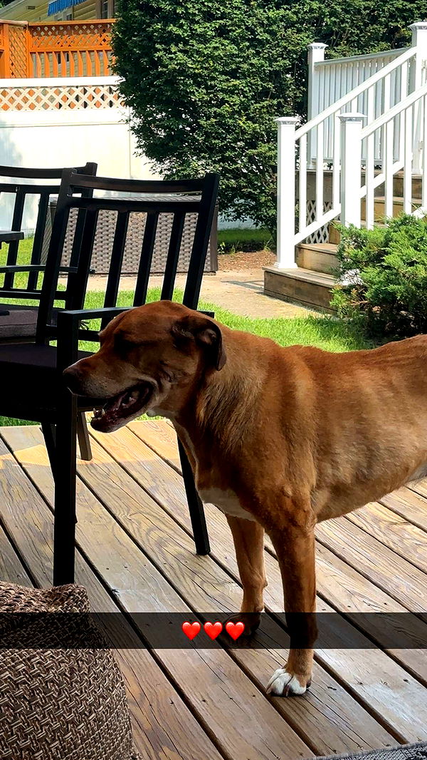 kylaayese image ~ Altpins