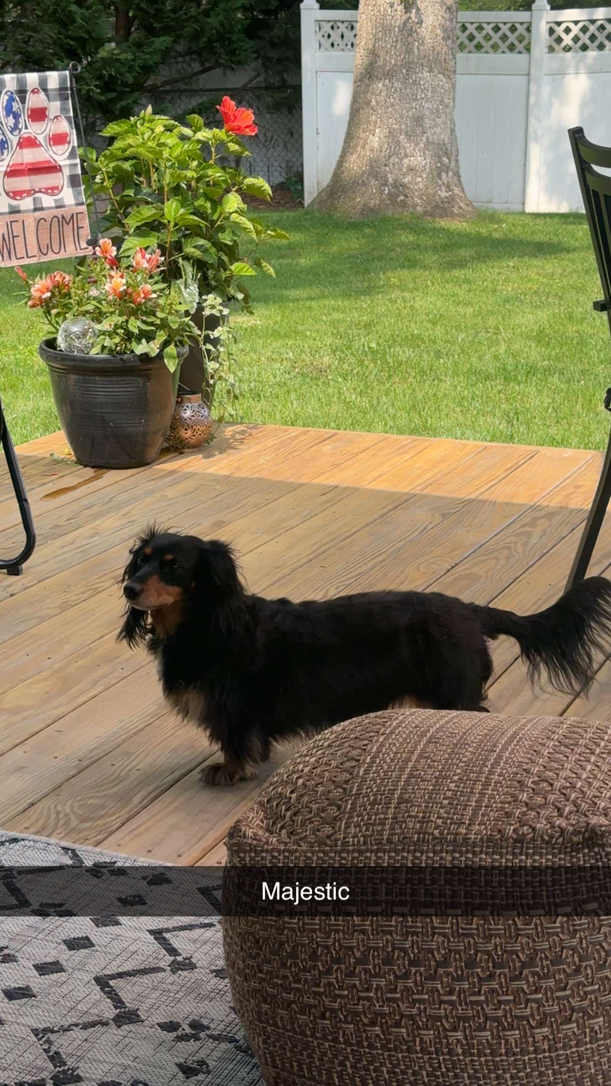 kylaayese snapchat image archive image