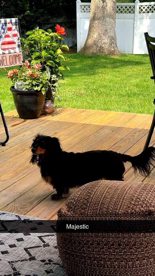 kylaayese image ~ Altpins