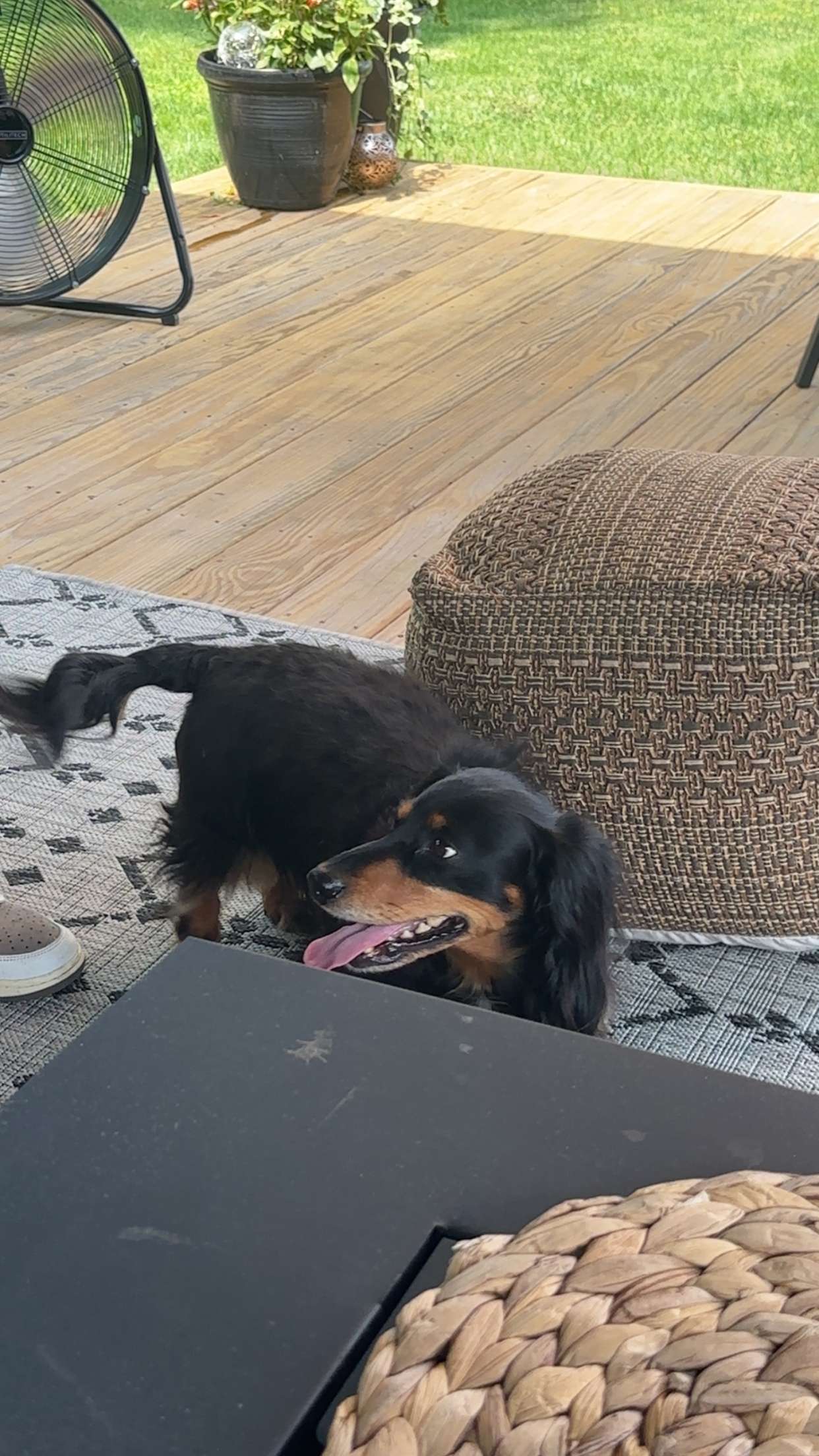 kylaayese snapchat image archive image