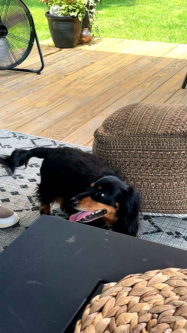 kylaayese image ~ Altpins