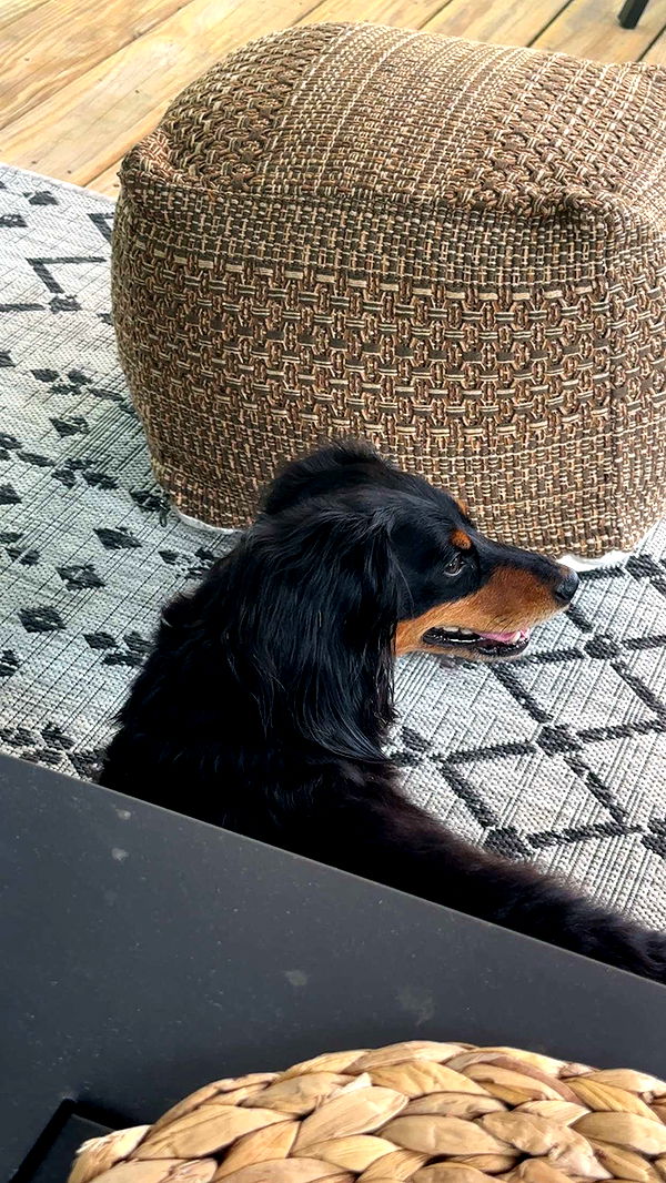 kylaayese image ~ Altpins