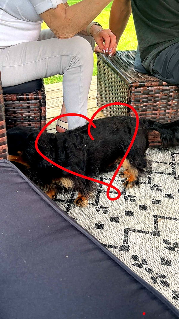 kylaayese image ~ Altpins