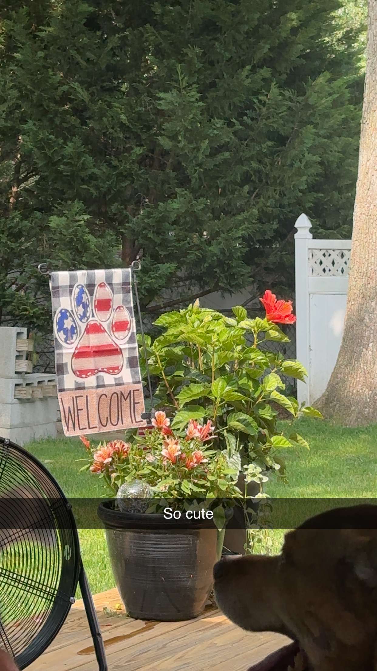 kylaayese snapchat image archive image