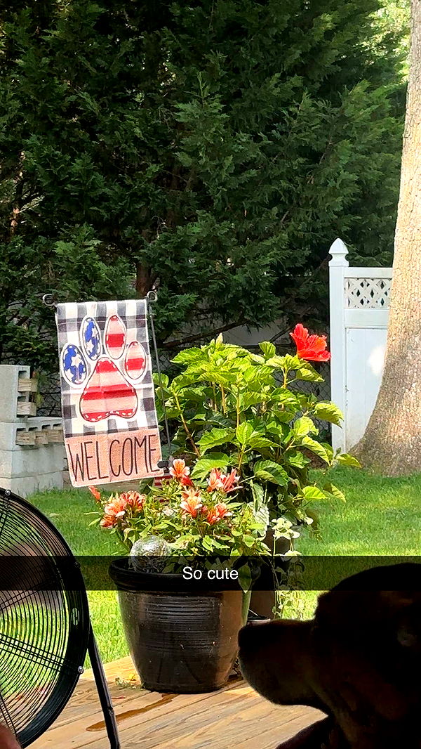 kylaayese image ~ Altpins