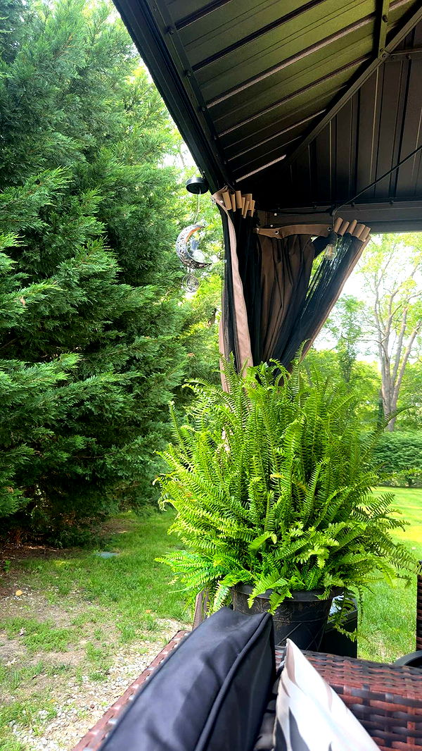 kylaayese image ~ Altpins