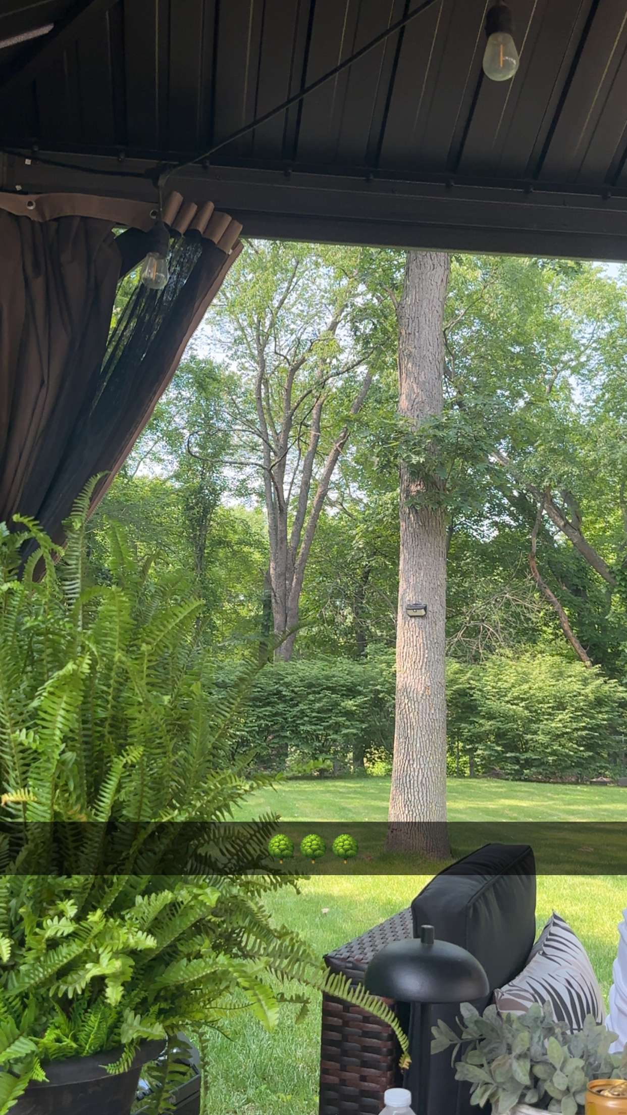 kylaayese snapchat image archive image