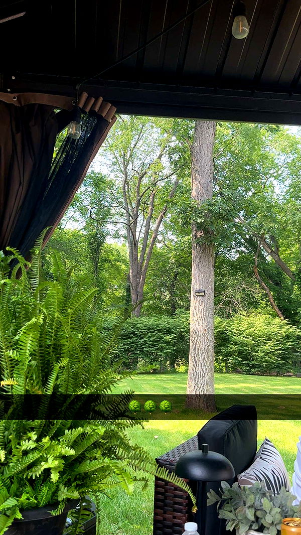 kylaayese image ~ Altpins