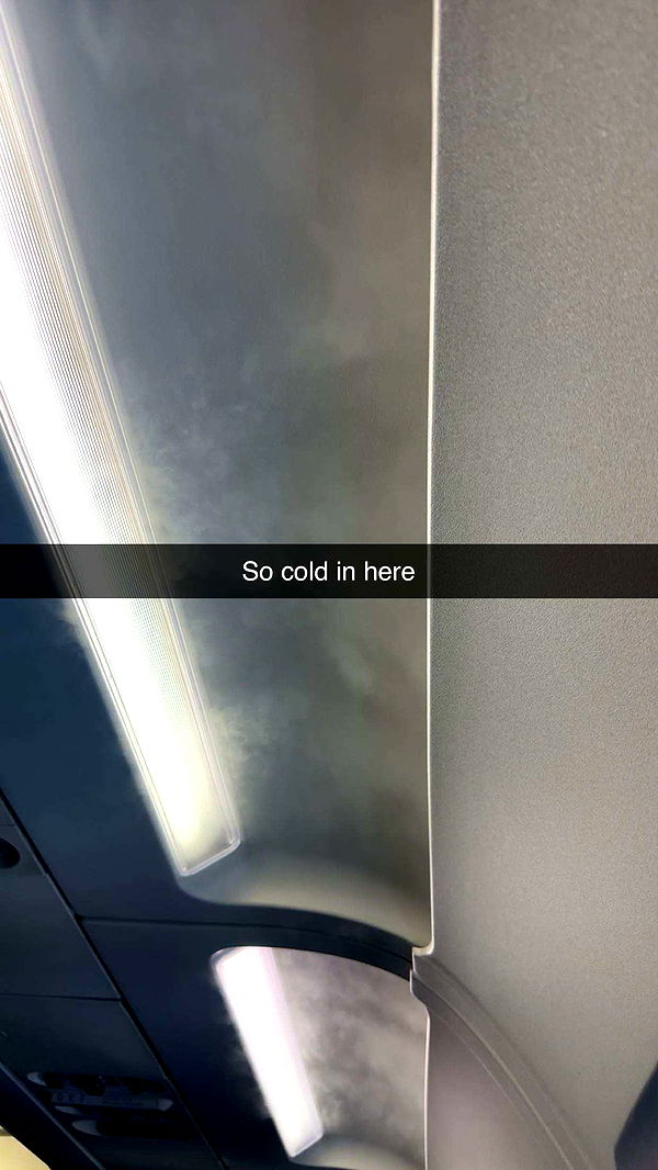 kylaayese image ~ Altpins