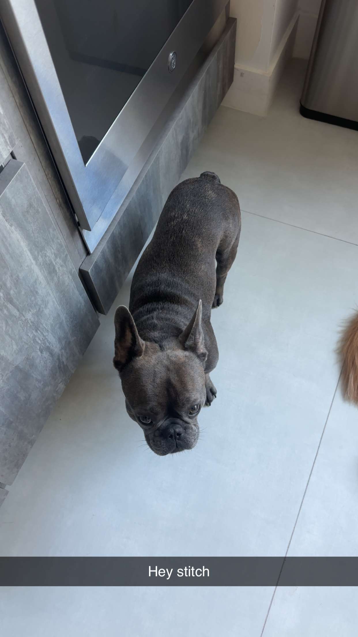 kylaayese snapchat image archive image