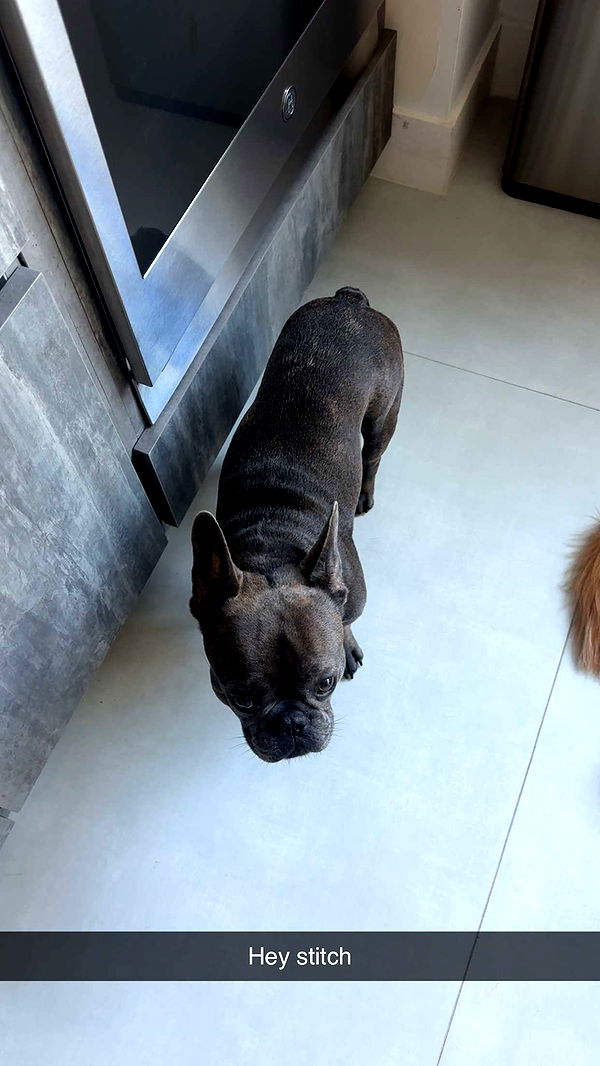 kylaayese image ~ Altpins