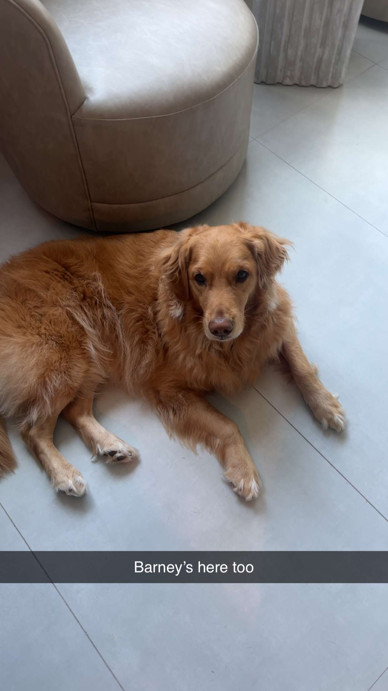 kylaayese snapchat image archive image