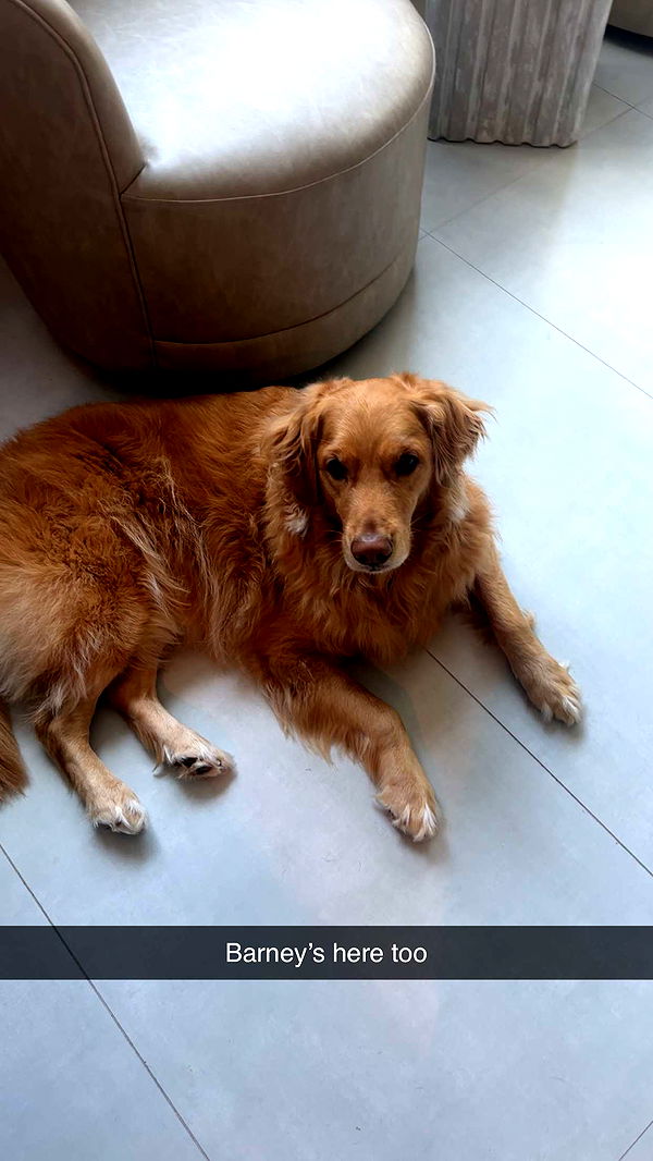 kylaayese image ~ Altpins