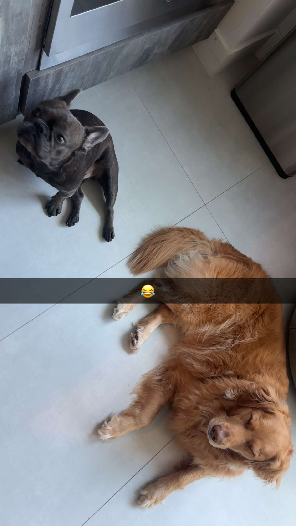 kylaayese snapchat image archive image