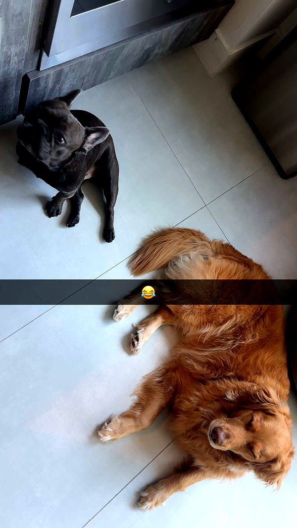 kylaayese image ~ Altpins