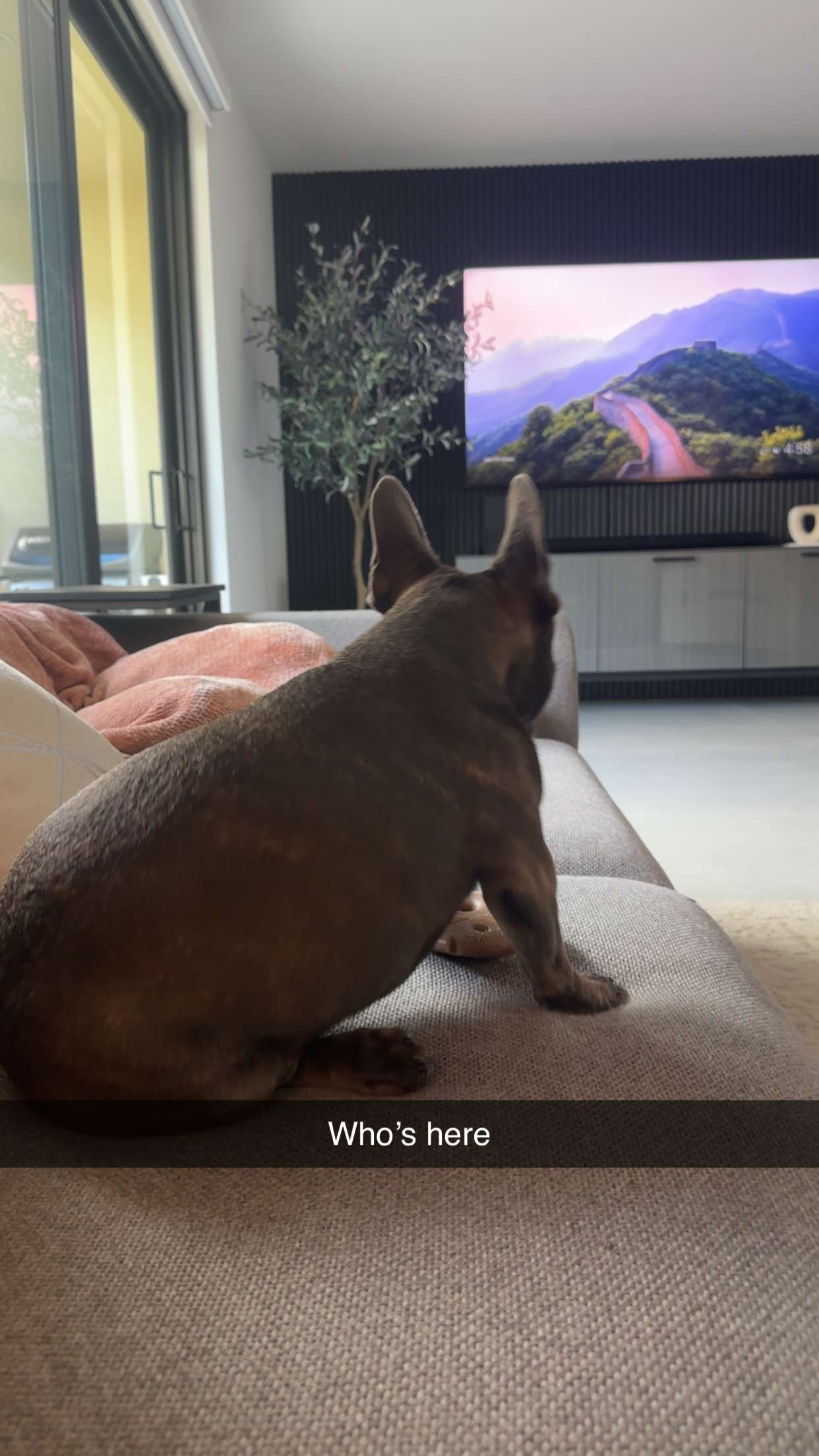 kylaayese snapchat image archive image