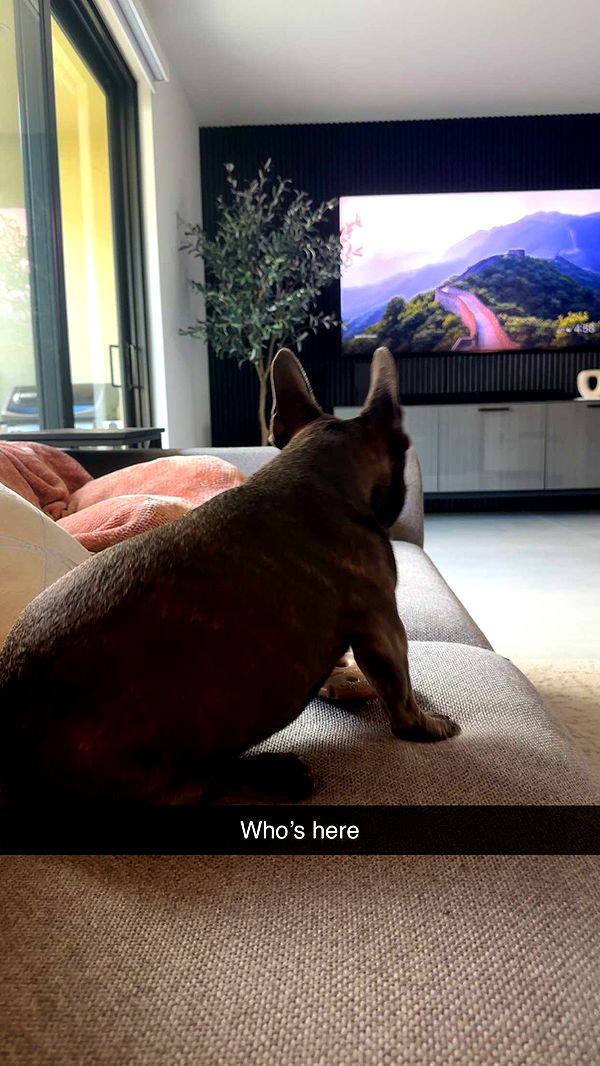 kylaayese image ~ Altpins