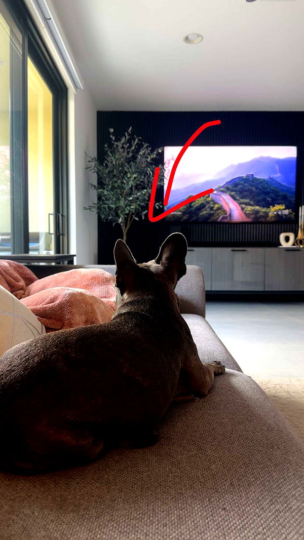 kylaayese image ~ Altpins