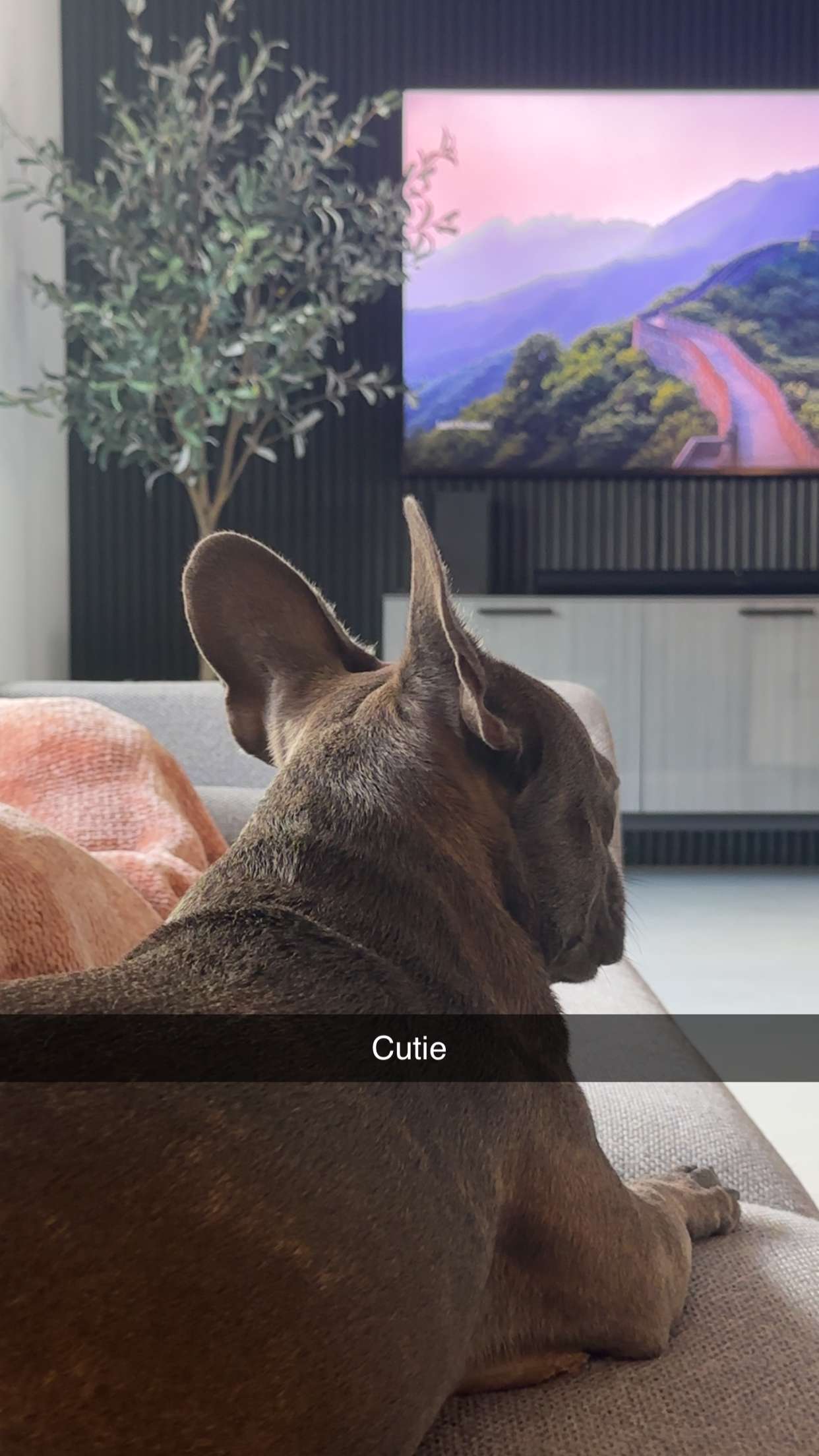 kylaayese snapchat image archive image