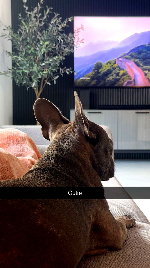 kylaayese image ~ Altpins