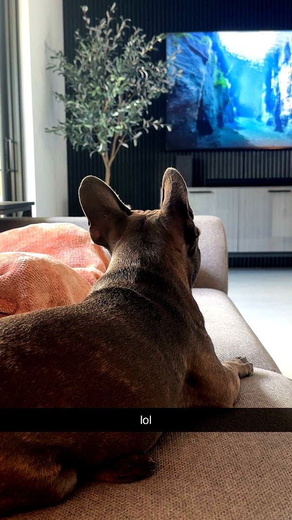 kylaayese image ~ Altpins