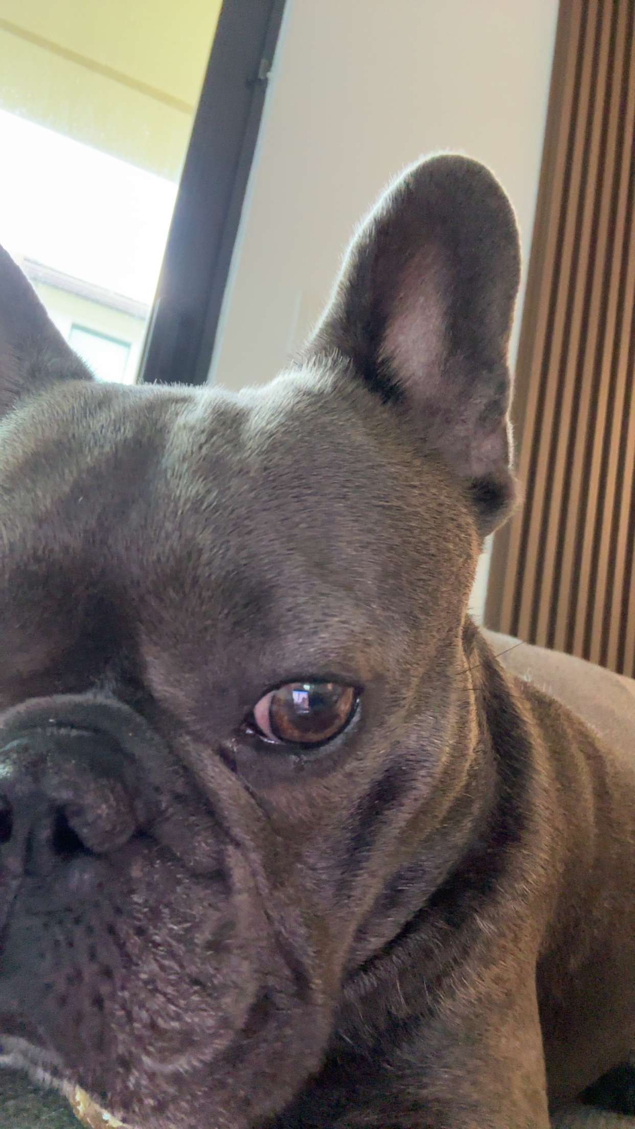 kylaayese snapchat image archive image