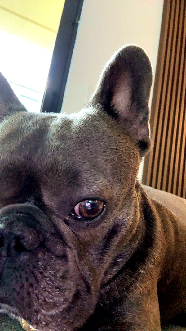 kylaayese image ~ Altpins