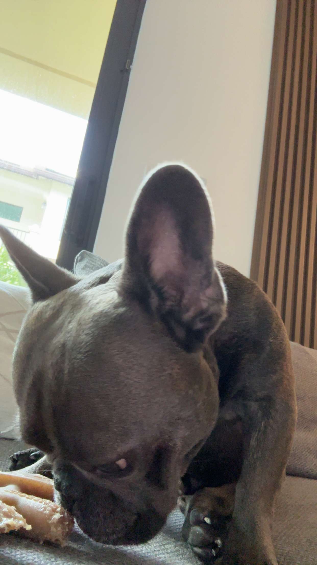 kylaayese snapchat image archive image