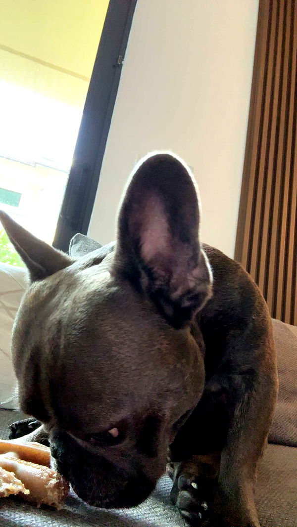 kylaayese image ~ Altpins