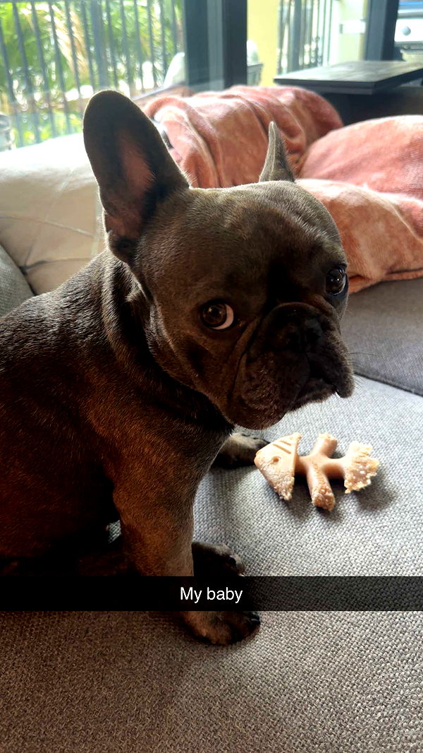 kylaayese image ~ Altpins