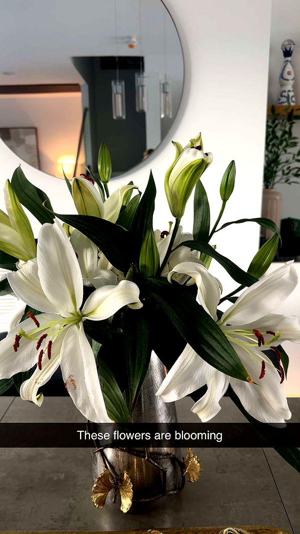 kylaayese image ~ Altpins