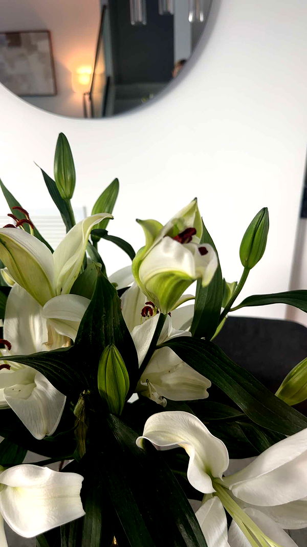 kylaayese image ~ Altpins