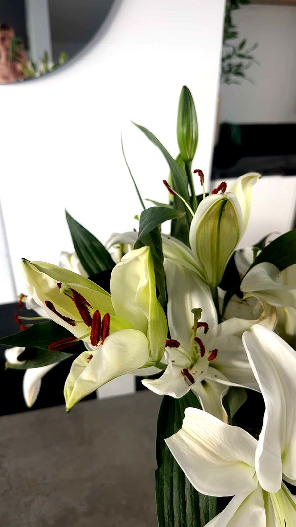 kylaayese image ~ Altpins