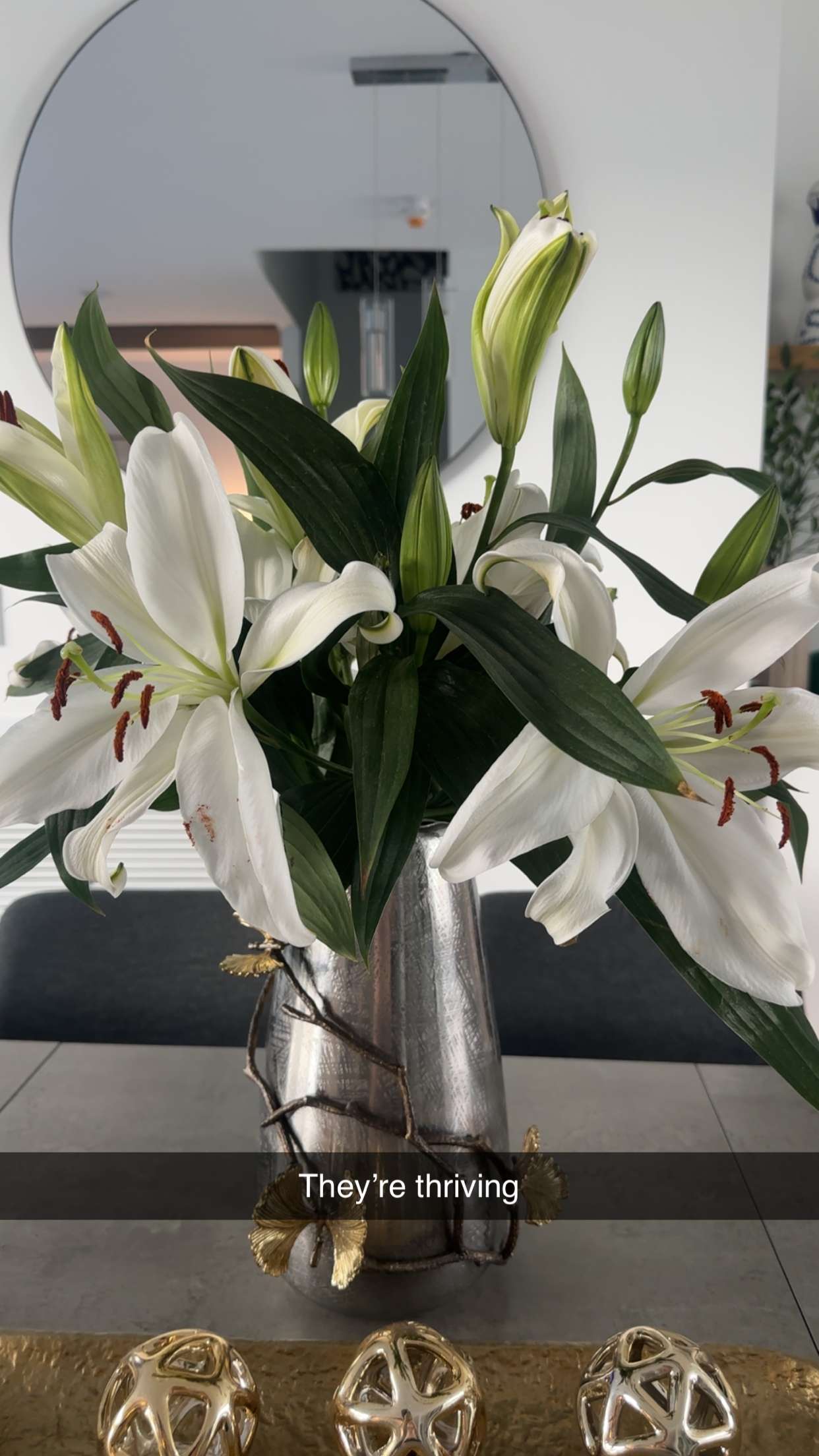 kylaayese snapchat image archive image