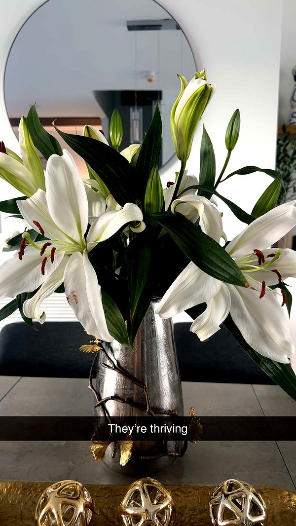 kylaayese image ~ Altpins