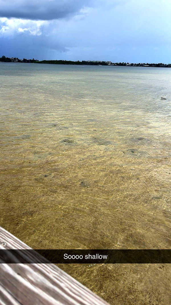 kylaayese image ~ Altpins