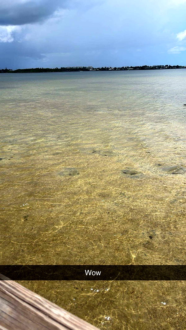 kylaayese image ~ Altpins