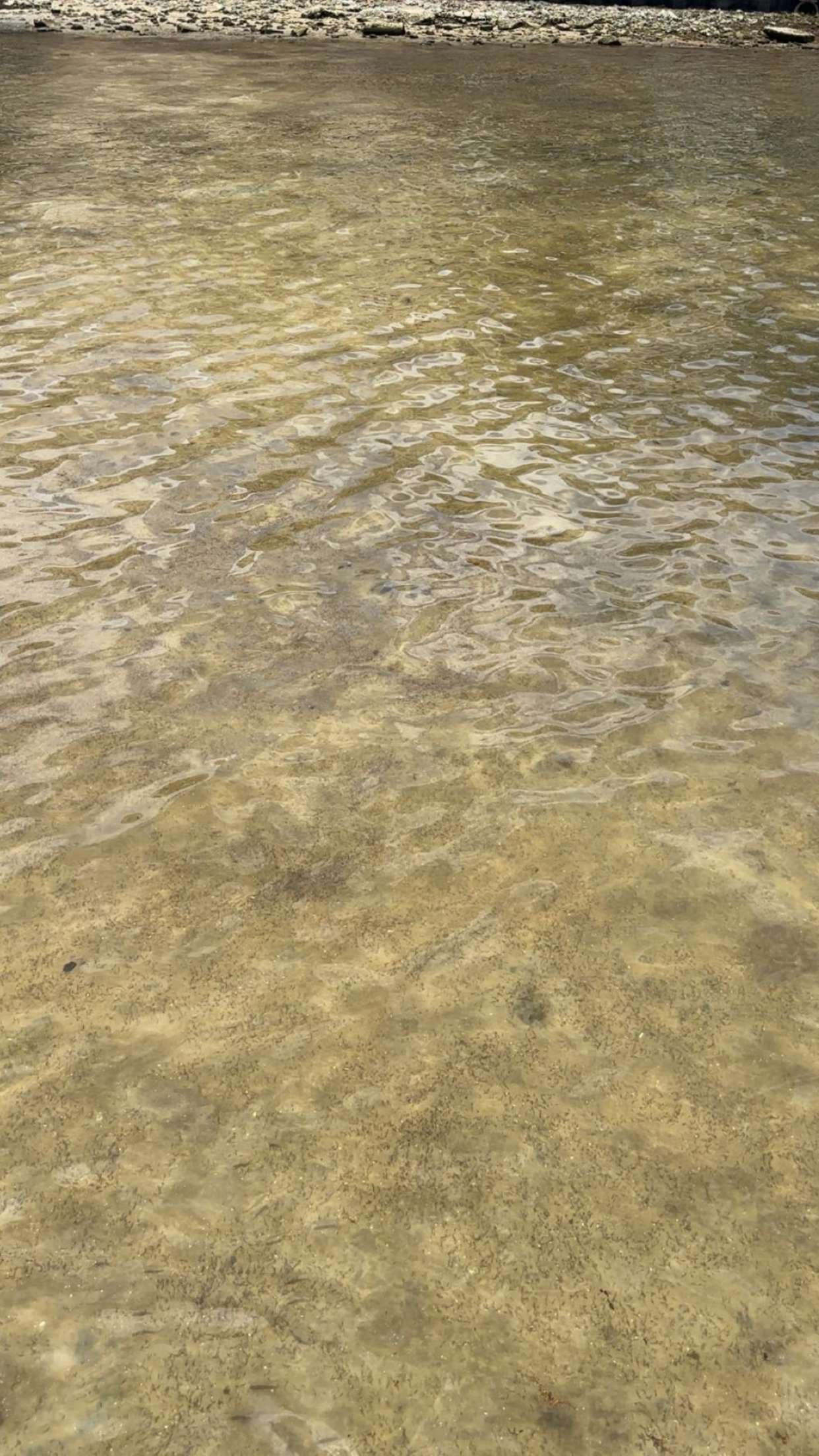 kylaayese snapchat image archive image