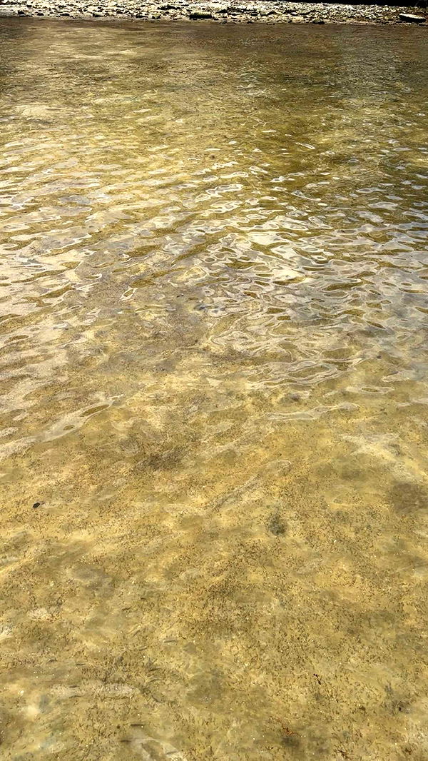 kylaayese image ~ Altpins