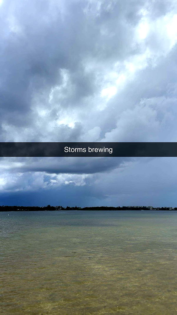 kylaayese image ~ Altpins