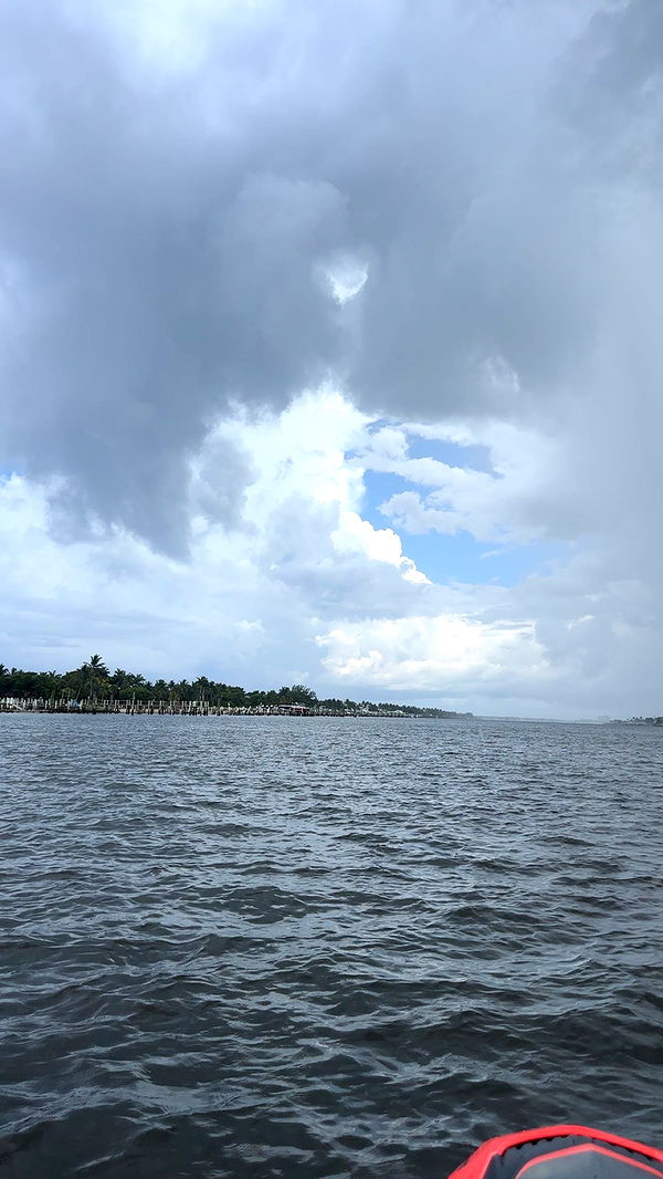 kylaayese image ~ Altpins