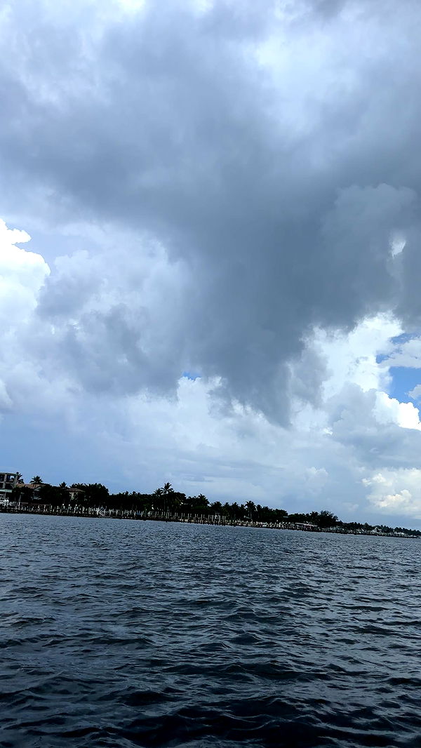 kylaayese image ~ Altpins