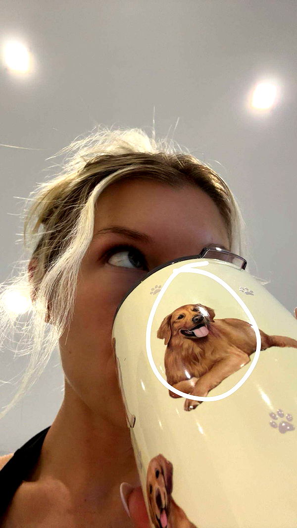 kylaayese image ~ Altpins