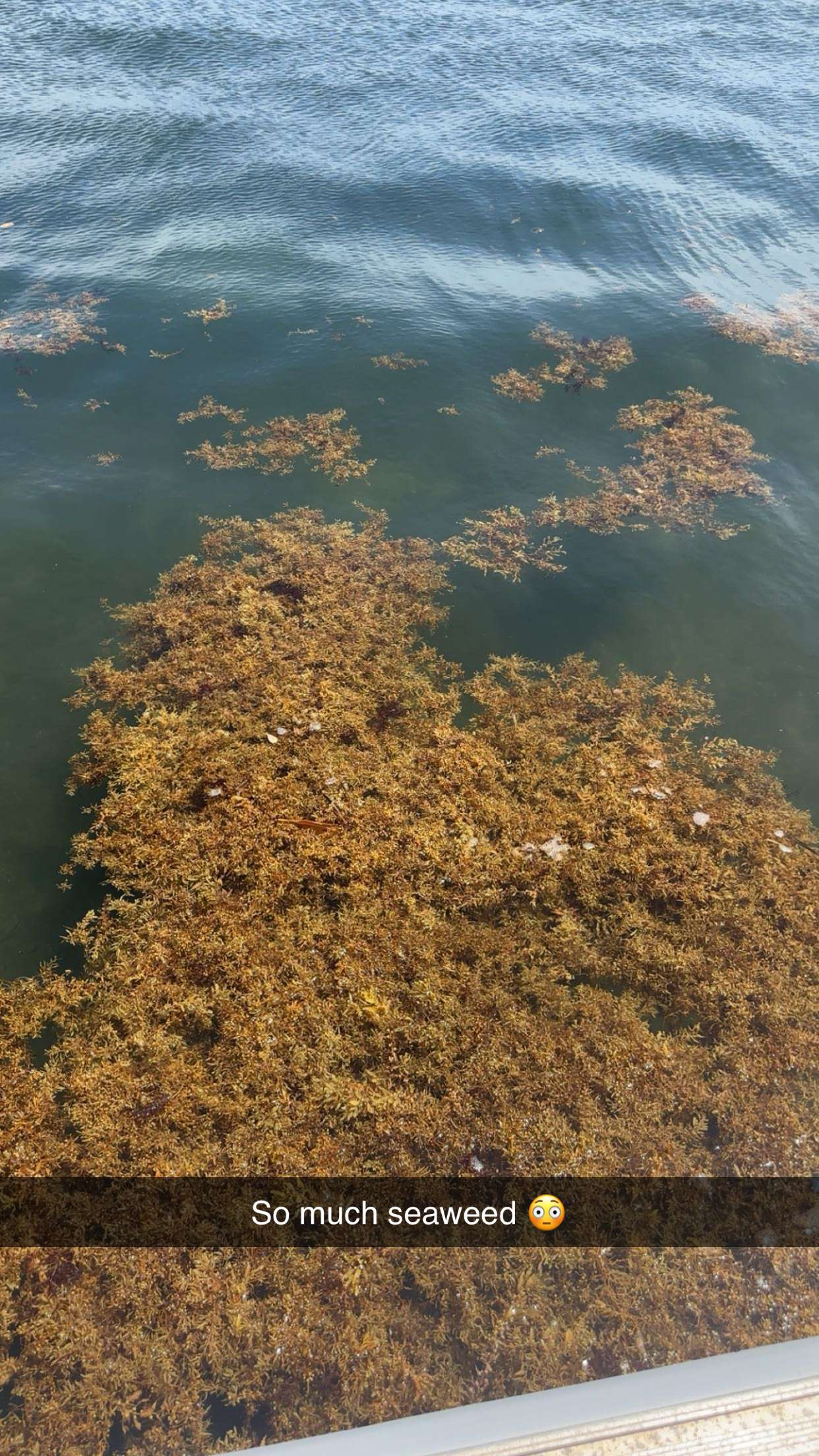 kylaayese snapchat image archive image