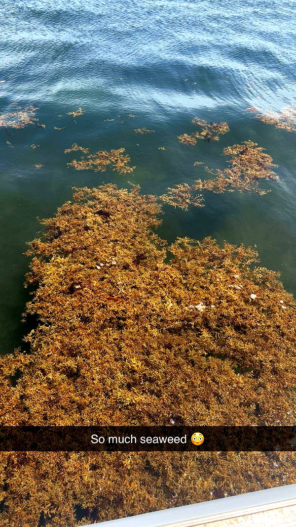 kylaayese image ~ Altpins