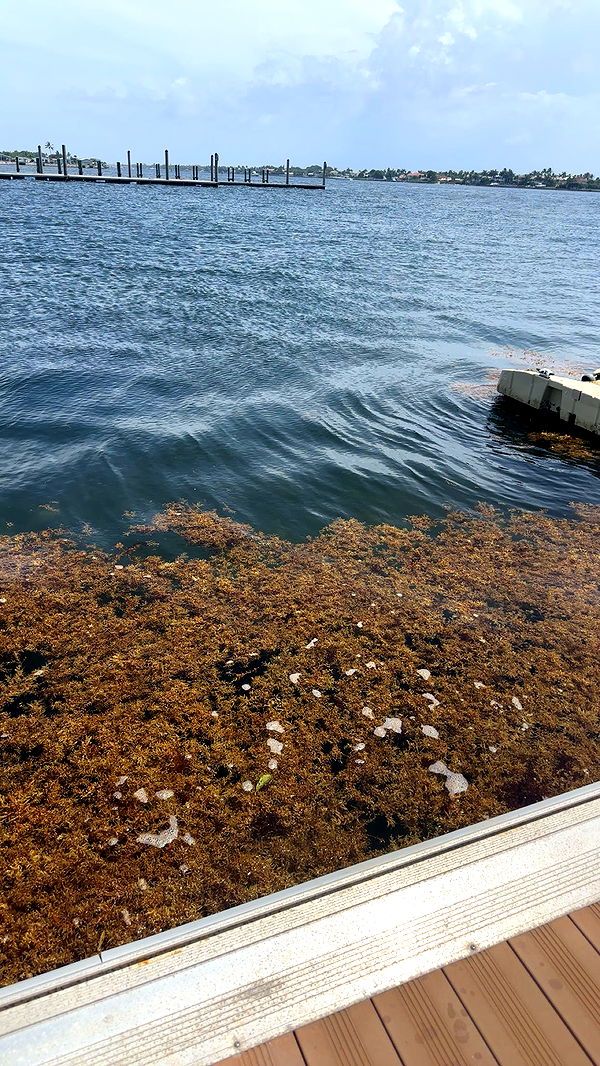 kylaayese image ~ Altpins