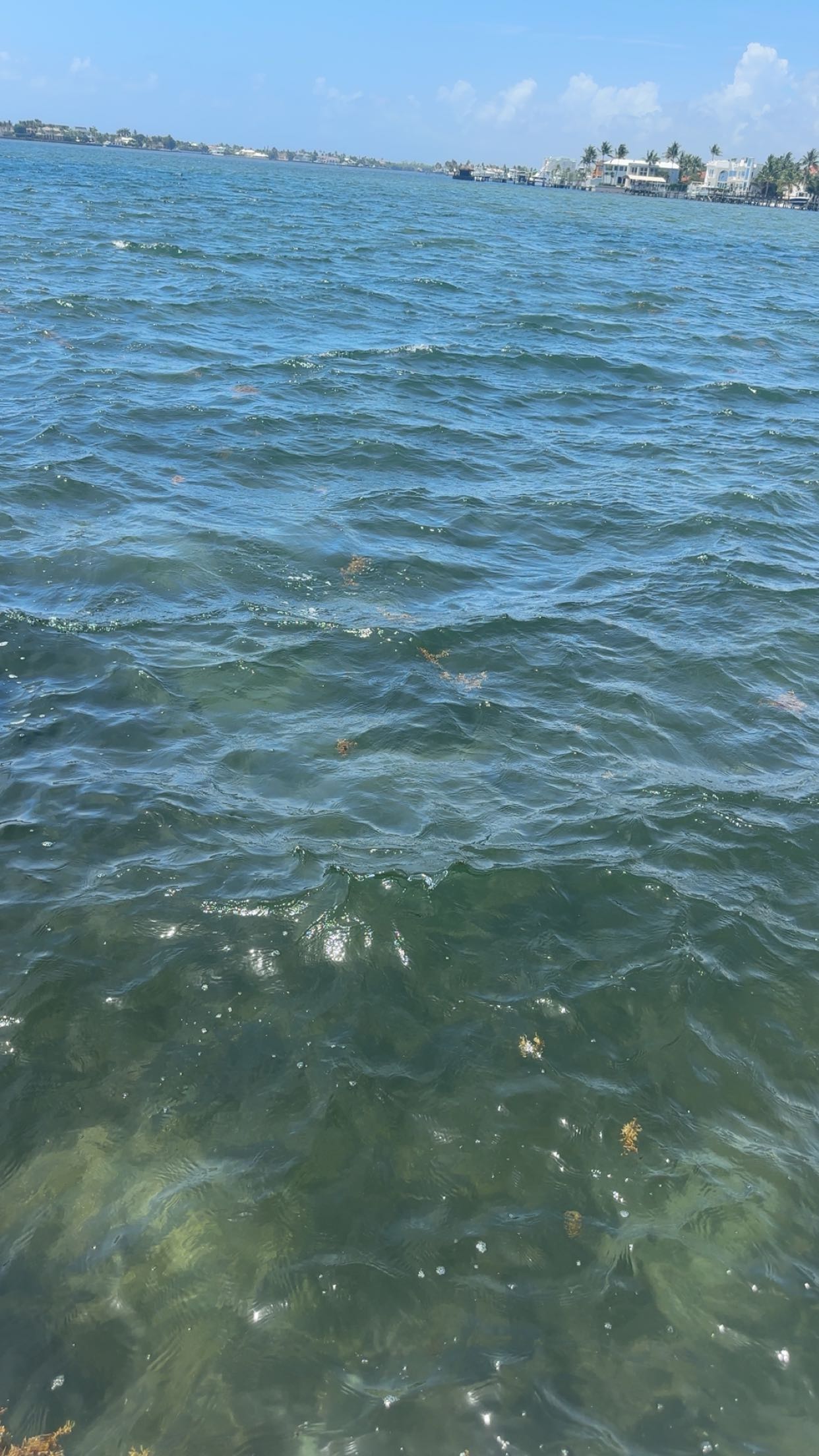 kylaayese snapchat image archive image