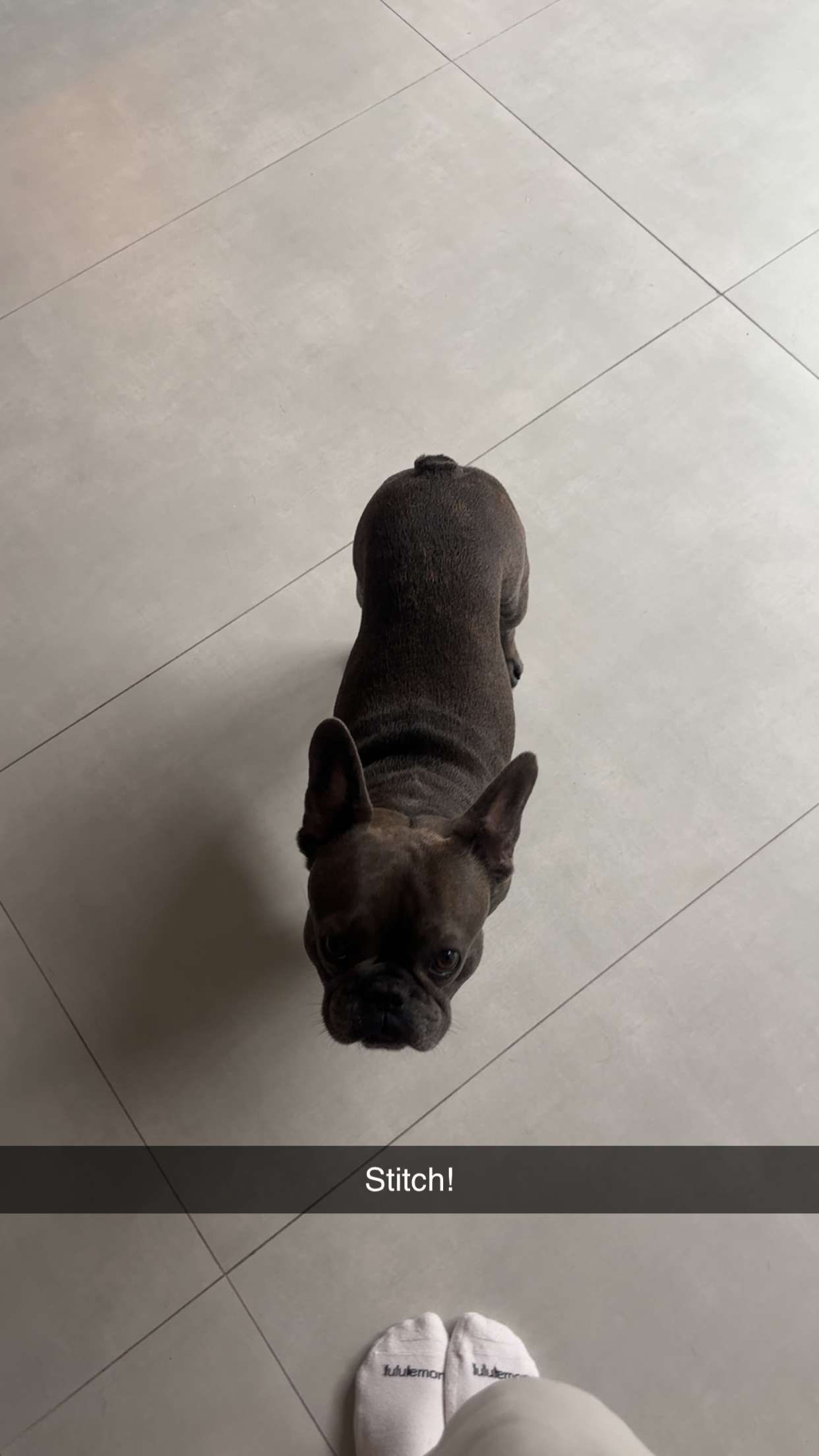 kylaayese snapchat image archive image